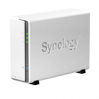 Synology NAS (DS115J) (1 HDD)