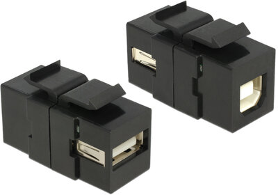 Delock 86370 Keystone modul 2db USB "A" aljzattal