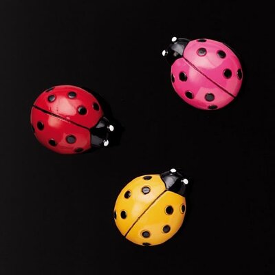 NAGA Super strong magnets - ladybirds 3 pcs