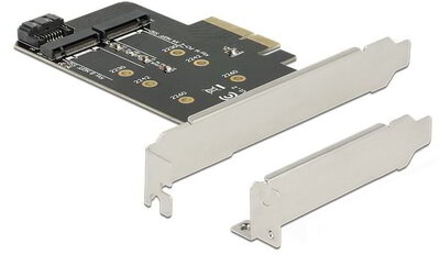 DeLOCK 89558 M.2 B-Key + M.2 M-Key PCI Express kártya