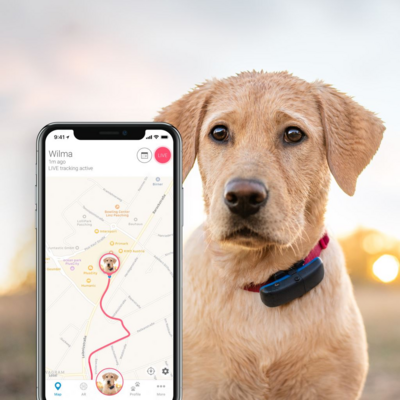 Tractive GPS Dog kutya nyomkövető /TRDOG1/