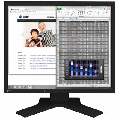 EIZO 19" FlexScan S1934H-BK "S" LCD IPS 1280x1024, 5:4,14ms, D-Sub, DVI-D, DP, fekete