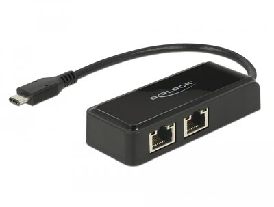 Delock Adapter SuperSpeed USB (USB 3.1 Gen 1) USB Type-C csatlakozódugóval > 2 x Gigabit LAN 10/100