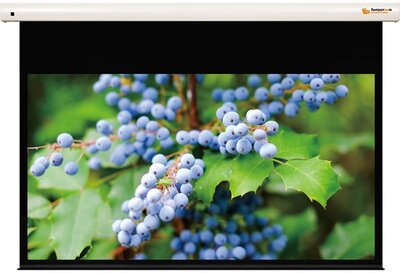 FUNSCREEN 120" (16:9) Premium Plus motoros vetítővászon (Méret: 275x154 cm, Látható méret: 265x149 cm)