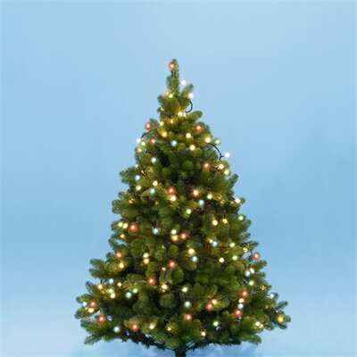 Somogyi KII100B/M LED-ES BELTÉRI FÉNYFÜZÉR