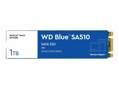 Western Digital 1TB Blue SA510 SSD M.2 2280 SATA3 r:560MB/s w: 520MB/s - WDS100T3B0B