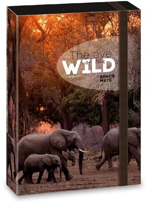 Ars Una The eyes of the wild elephant 5217 A4 füzetbox