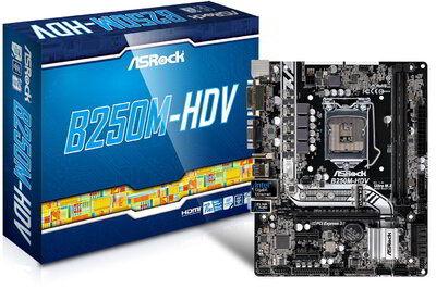 ASRock B250M-HDV Alaplap