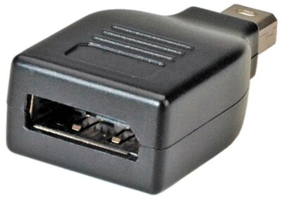 Roline DisplayPort - MiniDisplayPort F/M adapter