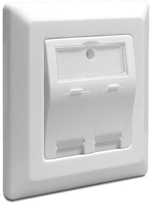 Delock 86202 Keystone 2 portos fali aljzat