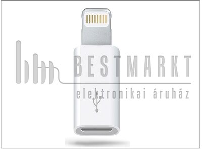Apple iPhone 5/iPad 4/iPad Mini Lightning - micro USB adapter