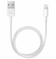 Apple Lightning to USB cable (0.5 m)