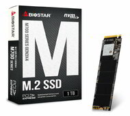 Biostar 1TB M700 M.2 NVMe 1.3 SSD - SS263PME3T