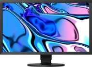 EIZO 27" CS2731 "CS" monitor