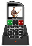 Evolveo EASYPHONE FM (EP800) Silver