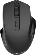 Canyon CNE-CMSW15B Wireless Optical Mouse with 4 buttons