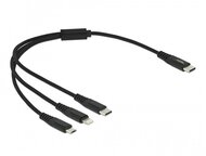 Delock 87148 30cm 3 az 1-ben USB-C - Lightning/MicroUSB/USB-C töltő kábel