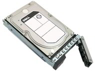 Dell 4TB Near Line SAS 12Gbps 7.2K 3.5" Hot-Plug HDD for PowerEdge 15gen