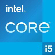 Intel Core i5-13400 2.5GHz 10-Cores Tray Processzor