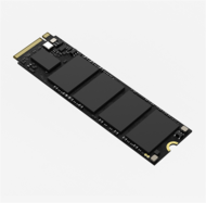 HIKSEMI SSD M.2 2280 NVMe Gen3x4 1024GB E1000 (HIKVISION)