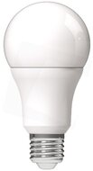 LED GLOBE IZZÓ A60 9.5W E27 CW 6400K