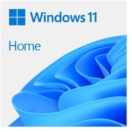 MS Windows 11 Home 64bit DE
