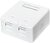 Logilink NK4032 2xRJ45 UTP Keystone üres fali konnektor
