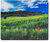 Natec 220x180mm Egérpad, Olasz