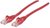 Intellinet Network Cable RJ45 Cat6 UTP 1,5m red 100% copper