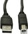 Akyga Cable USB AK-USB-18 USB A (m) / USB B (m) ver. 2.0 5.0m