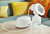 Philips Avent Ultra Comfort SCF332/31 elektromos mellszívó