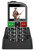 Evolveo EASYPHONE FM (EP800) Silver