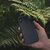 Apple iPhone 12/12 Pro hátlap környezetbarát, 100%-ban biológiailag lebomló anyagból - Forcell Bio Zero Waste Case - fekete