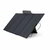 EcoFlow 400W Solar Panel