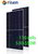 Risen Energy 545W RSM110-8-545M Mono Napelem panel
