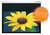 funscreen Prémium White Label funK.WL.430.200.MW Motor 148x200 cm Vetítővászon