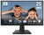 MSI MP252 (9S6-3PC4CT-008) monitor