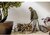 Karcher WD 3 S V-15/4/20 1.628-138.0 PORSZÍVÓ MULTIFUNKCIÓS