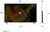 LG OLED55B53LA uhd smart oled tv