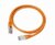Gembird UTP kat.5e RJ45 patch kábel, 0.25m, narancs