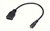 Akasa AK-CBHD09-25BK HDMI - microHDMI adapter Fekete
